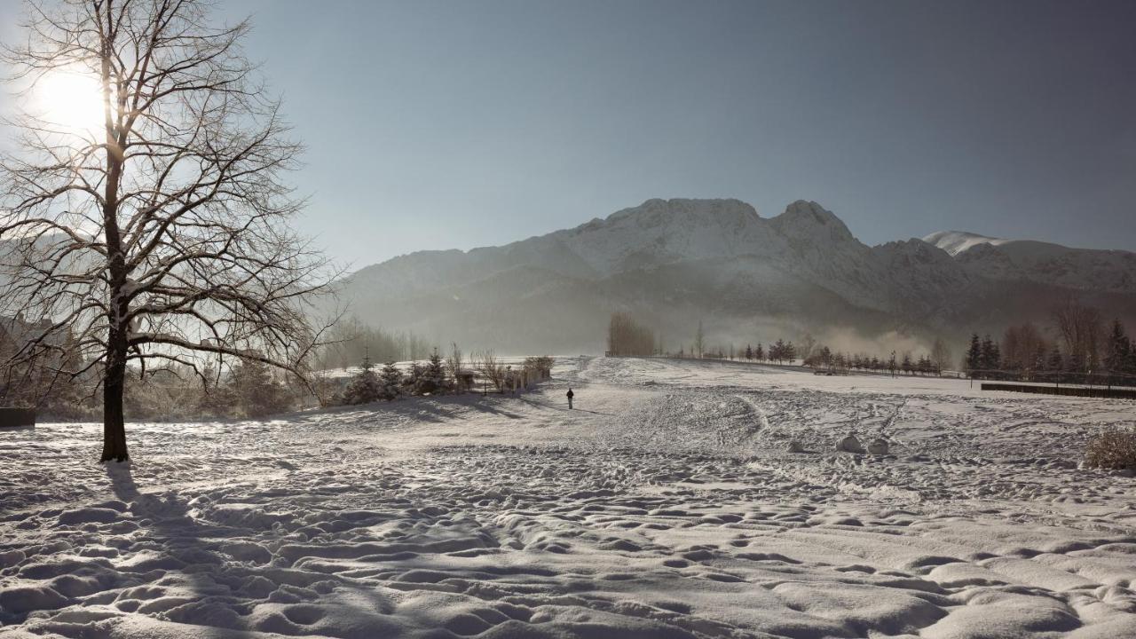 Dom Pod Lipkami Lägenhet Zakopane Exteriör bild